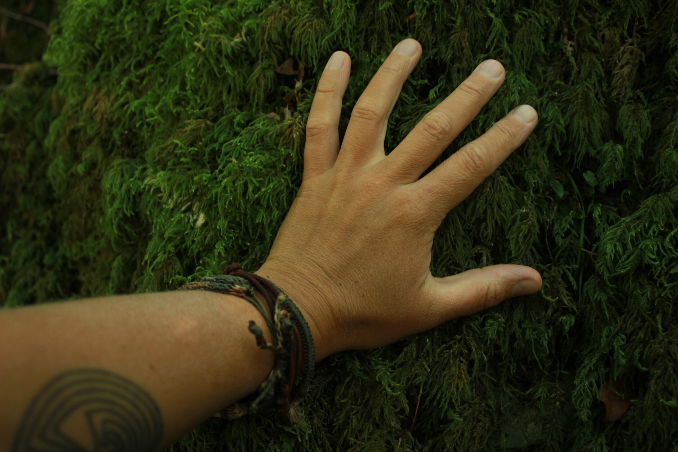 Hand on mossy tree